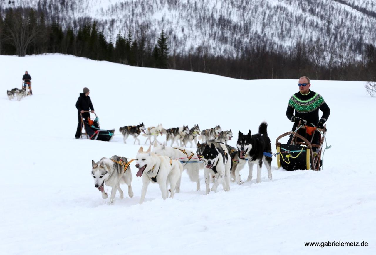 Skagi Bed & Lodge Skaland Экстерьер фото